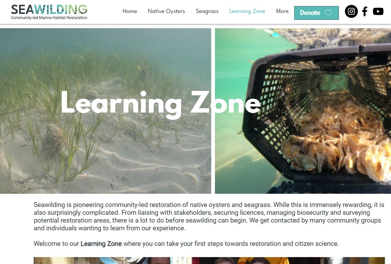 Learning Zone. Seawilding.