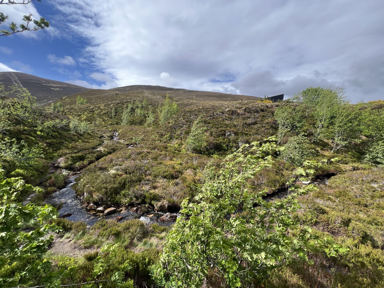 Coire na Ciste on Cairn Gorm, Scotland. Jennifer Gabrys, 2025.